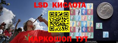 прущая мука Владимир