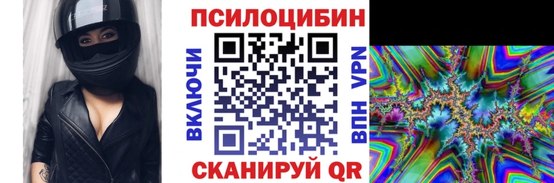 дарк нет официальный сайт  Евпатория  Псилоцибиновые грибы Psilocybe 