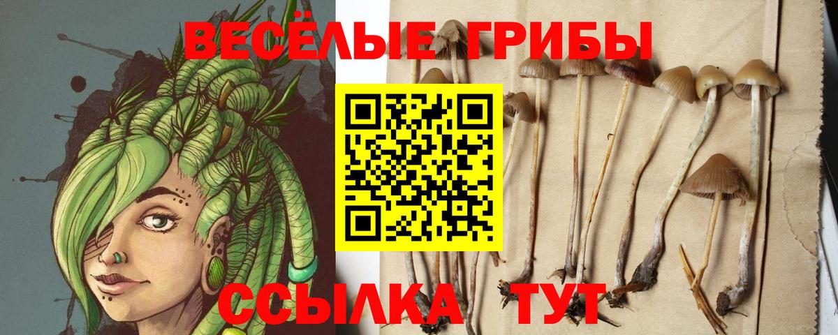 Псилоцибиновые грибы ЛСД Евпатория