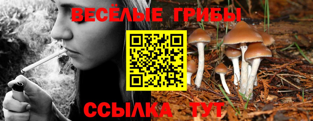 Псилоцибиновые грибы Psilocybe  Псилоцибиновые грибы мухоморы  Евпатория  Вход с VPN 